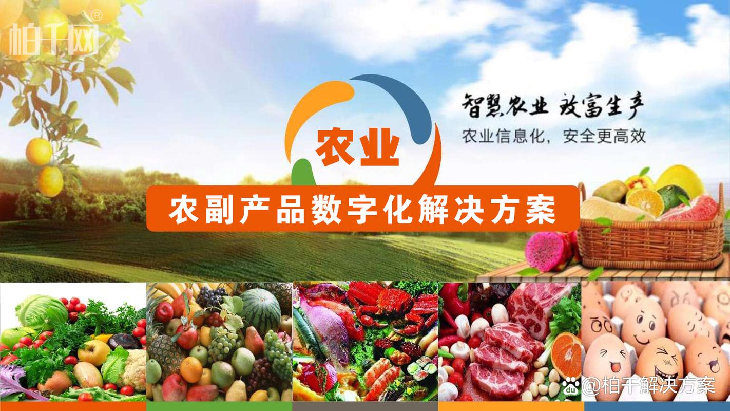 互联网时代农业供应链的革新与未来